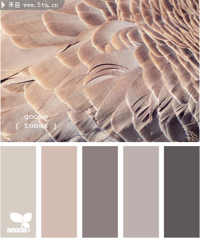 GooseTones505.png