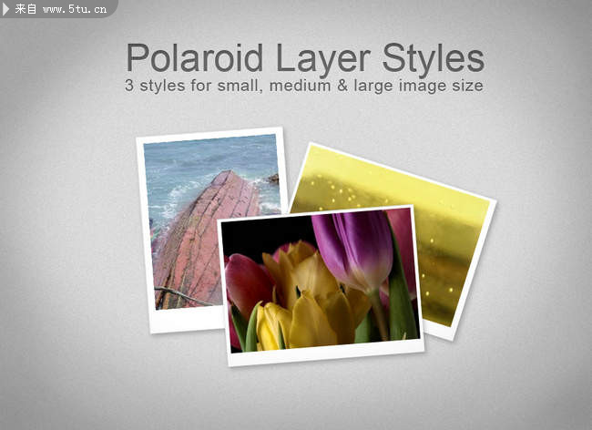 polaroid.jpg