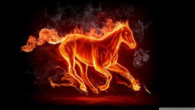 wallpaper_5247903.jpg