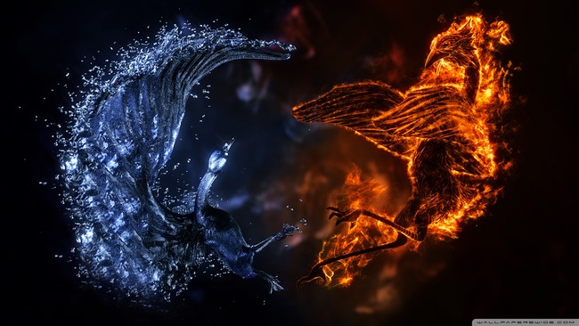 wallpaper_5247892.jpg